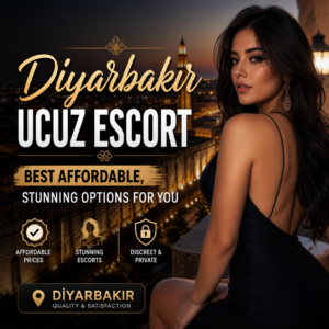 Illustration of Diyarbakır Ucuz Escort: Best Affordable, Stunning Options for You