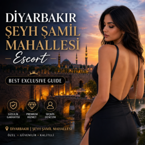 Illustration of Diyarbakır Şeyh Şamil Mahallesi Escort: Best Exclusive Guide
