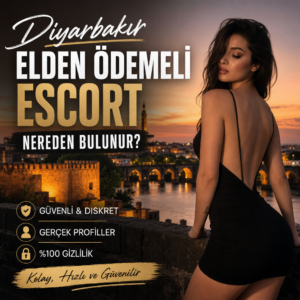 Illustration related to Diyarbakır escort service with discreet, secure in-person payment concept