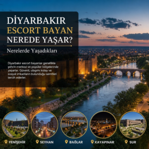 Illustration of Diyarbakır Escort Bayan Nerede Yaşar? Nerelerde Yaşadıkları