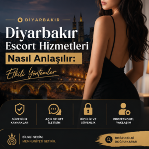 A woman using a smartphone with a cityscape background symbolizing Diyarbakır escort services and reliable methods.