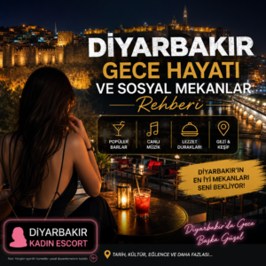 Diyarbakır kadın escort illustration for Diyarbakır Gece Hayatı ve Sosyal Mekanlar Rehberi