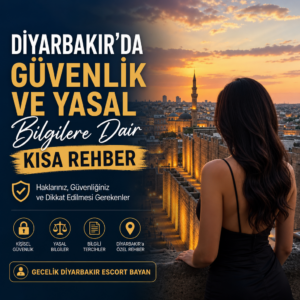 Gecelik Diyarbakır Escort Bayan illustration for Diyarbakır’da Güvenlik ve Yasal Bilgilere Dair Kısa Rehber