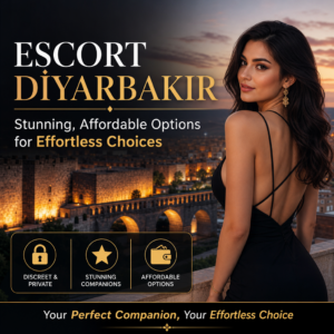 Illustration of Escort Diyarbakır: Stunning, Affordable Options for Effortless Choices