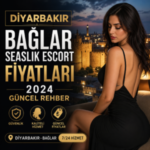 Map of Diyarbakır Bağlar with labeled zones and numerical data illustrating escort service prices for 2024.